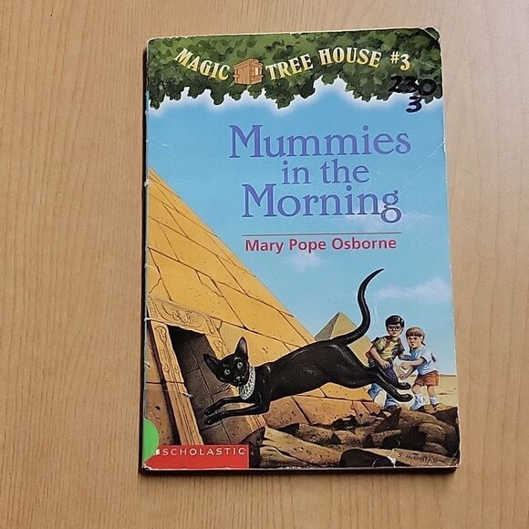 10 Magic Tree House paperback books ( set 3) - Picture 11 of 11